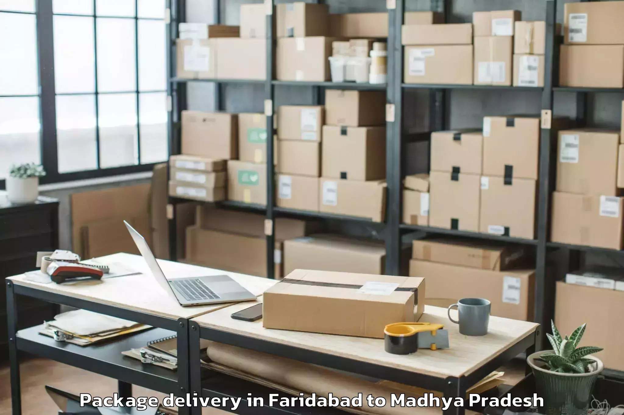 Quality Faridabad to Gwalior Airport Gwl Package Delivery